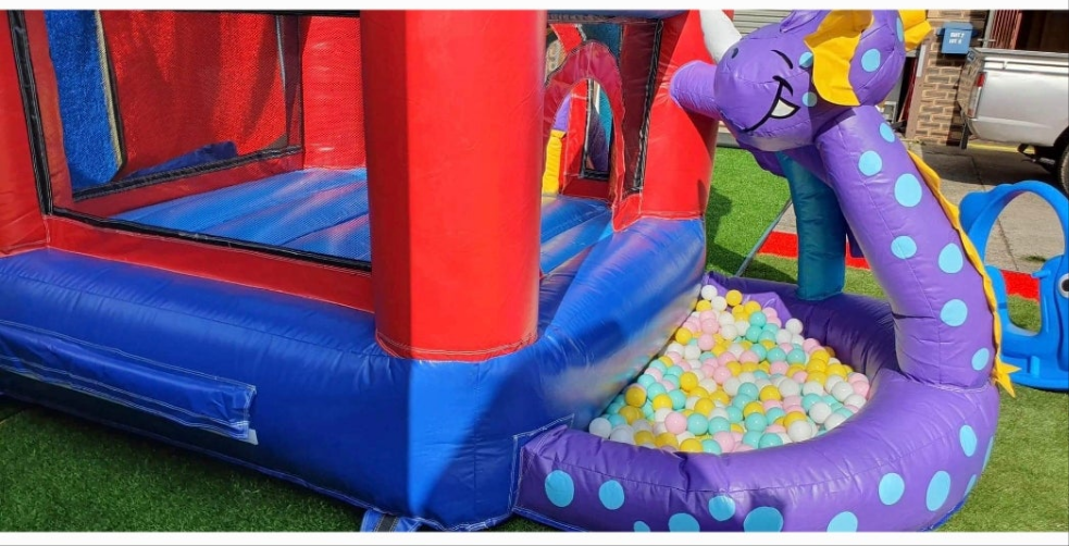 Dragon Ball Pit Party Bundle, Southside