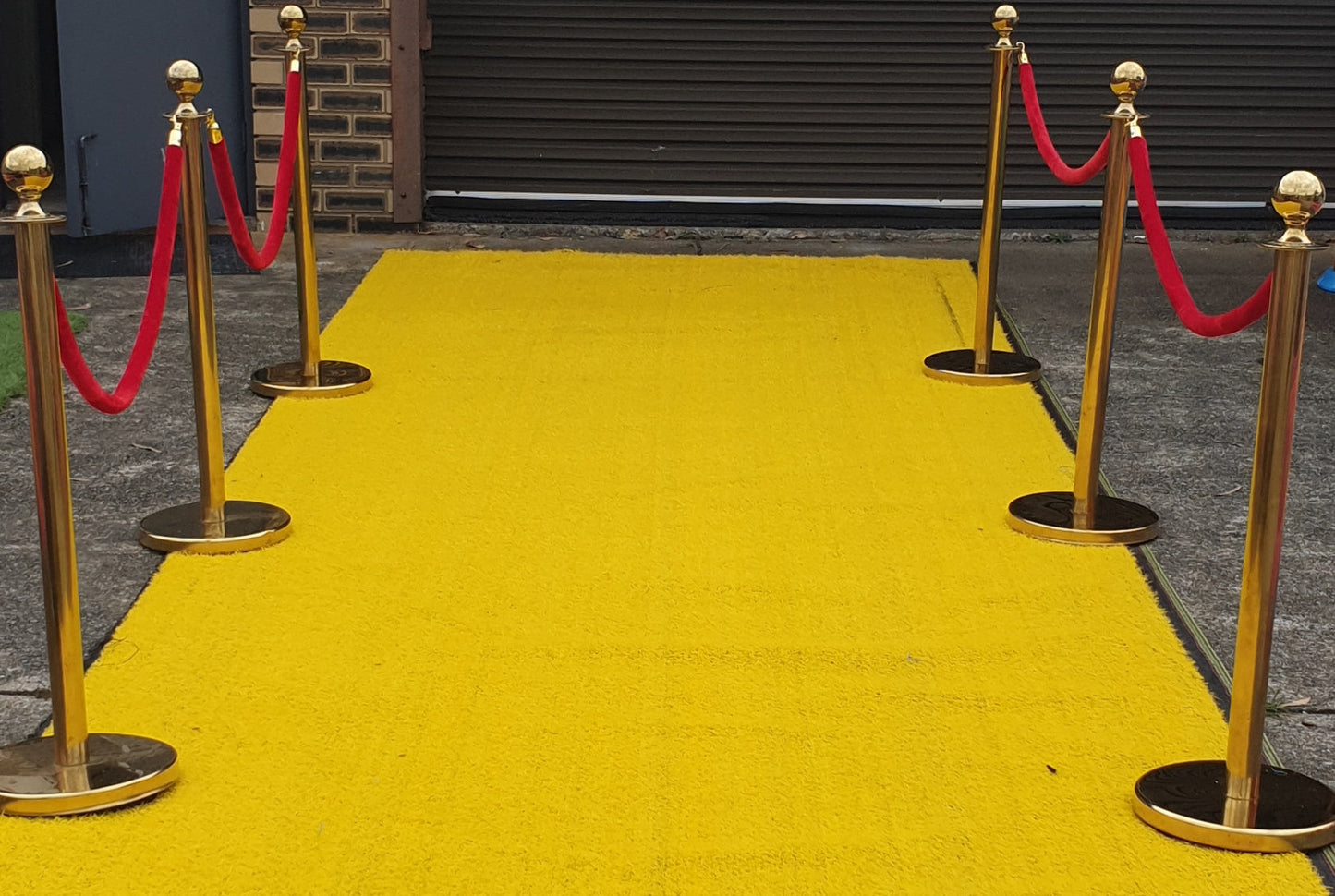 Yellow Entrance Carpet, Northside