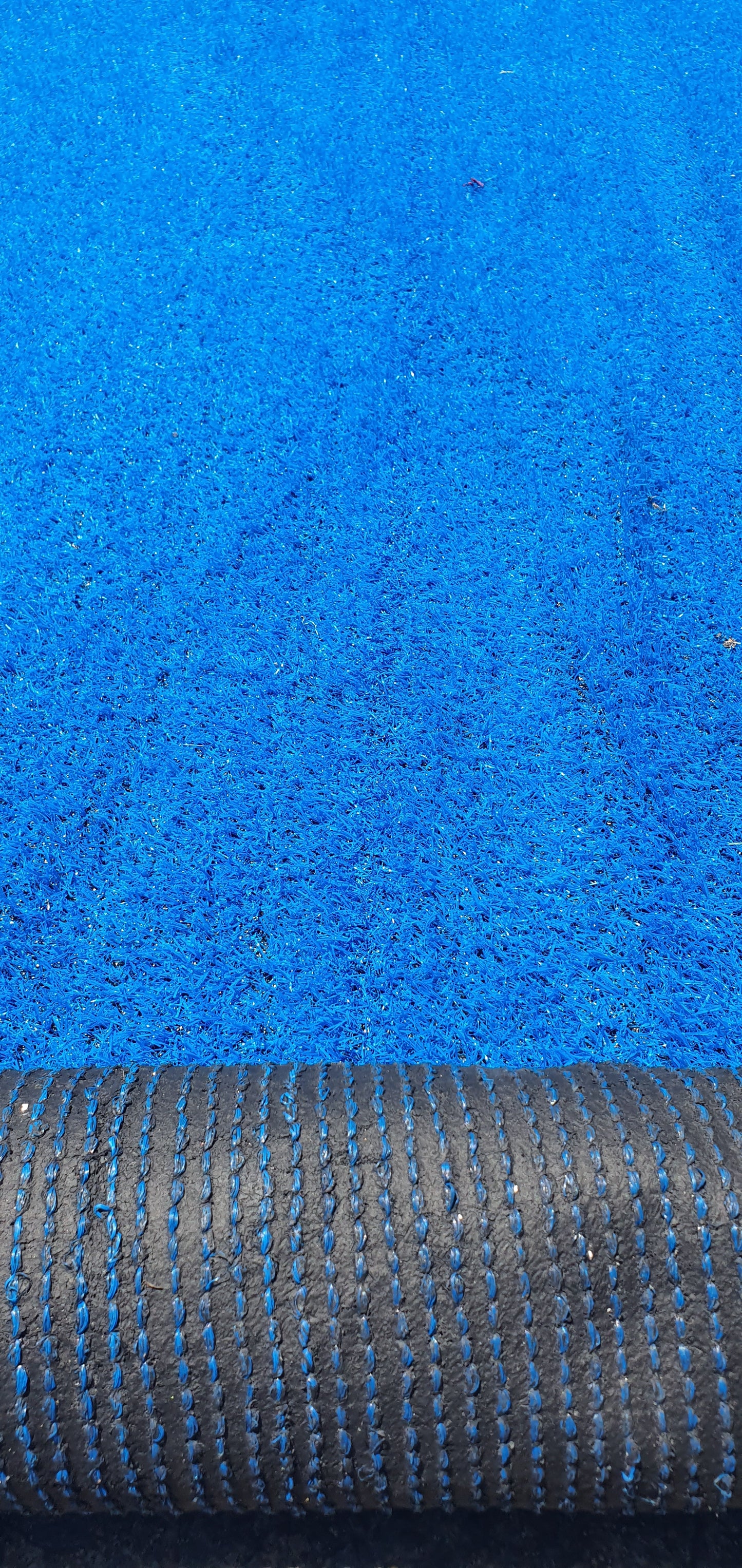 Blue Entrance Carpet, Southside