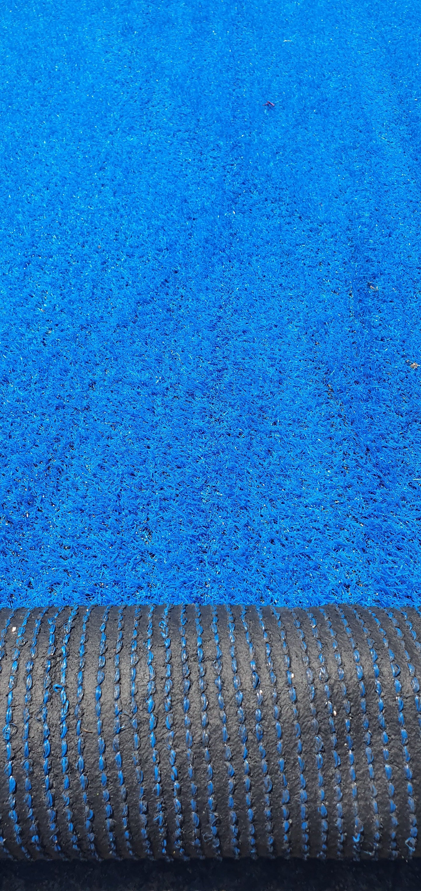 Blue Entrance Carpet, Northside