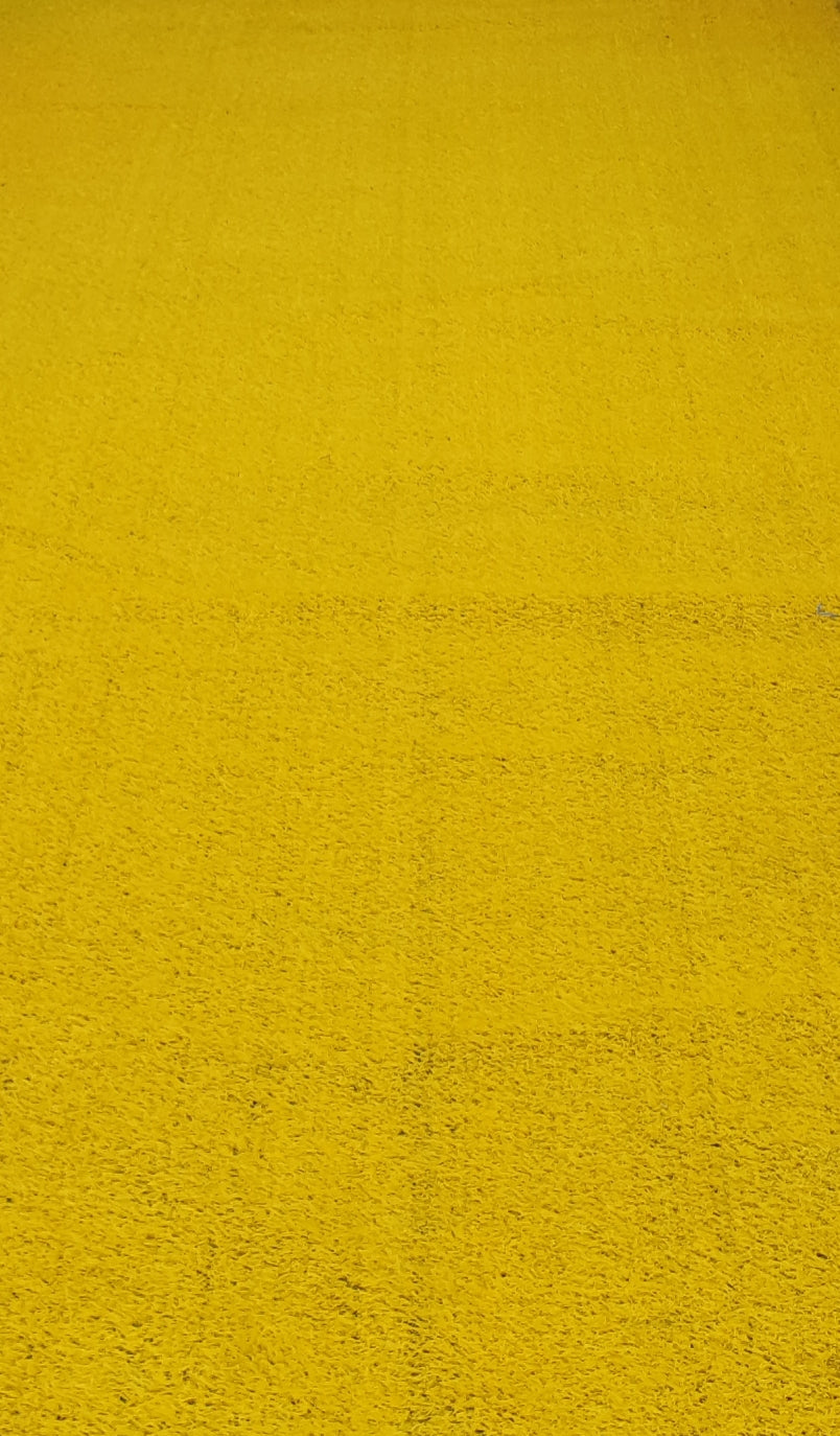 Yellow Entrance Carpet, Northside
