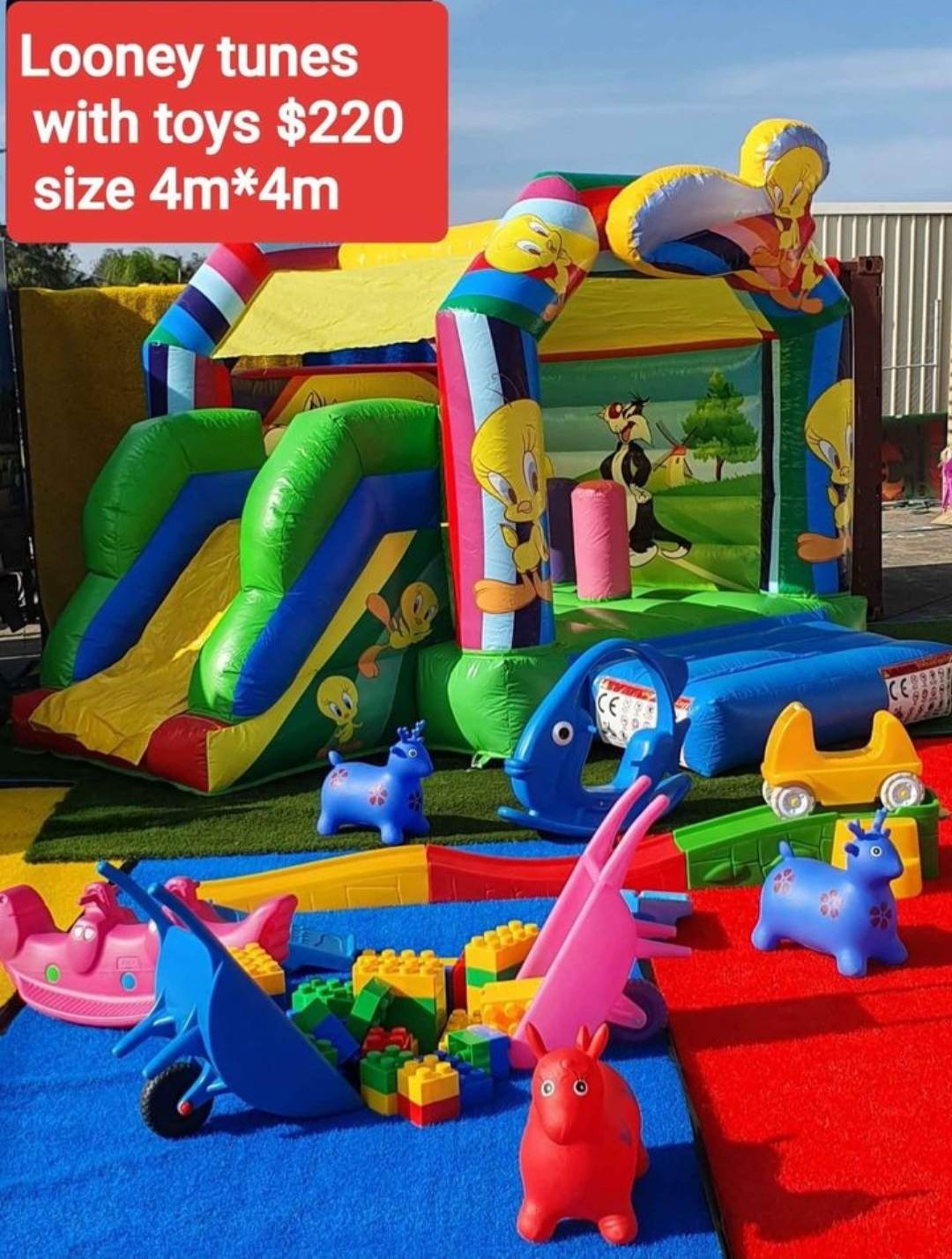 Looney Tunes jumping castle party bundle