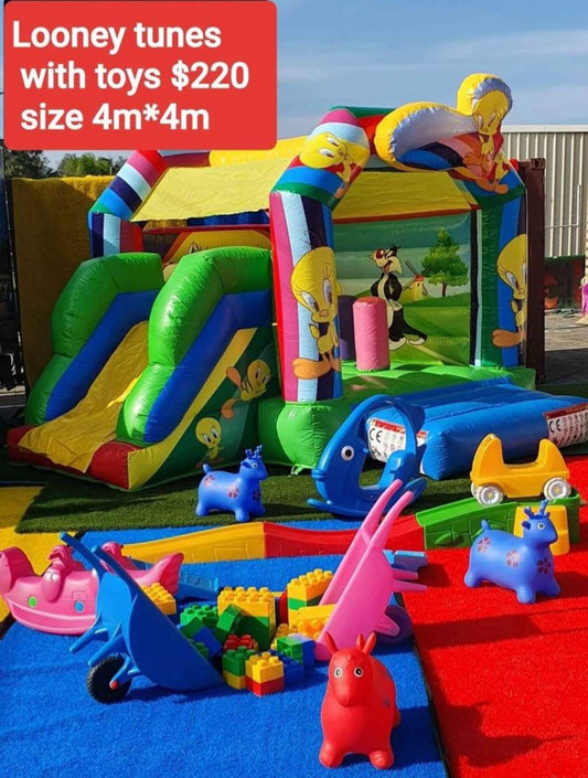 Looney Tunes jumping castle party bundle