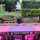 Kids Chairs - Pink & Purple, Northside