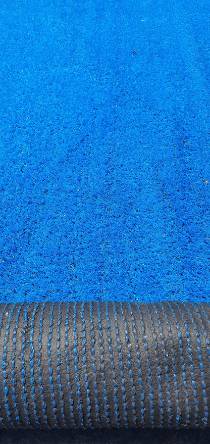 Blue Entrance Carpet, Southside