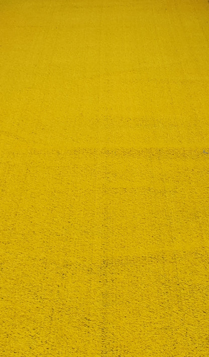 Yellow Entrance Carpet, Southside
