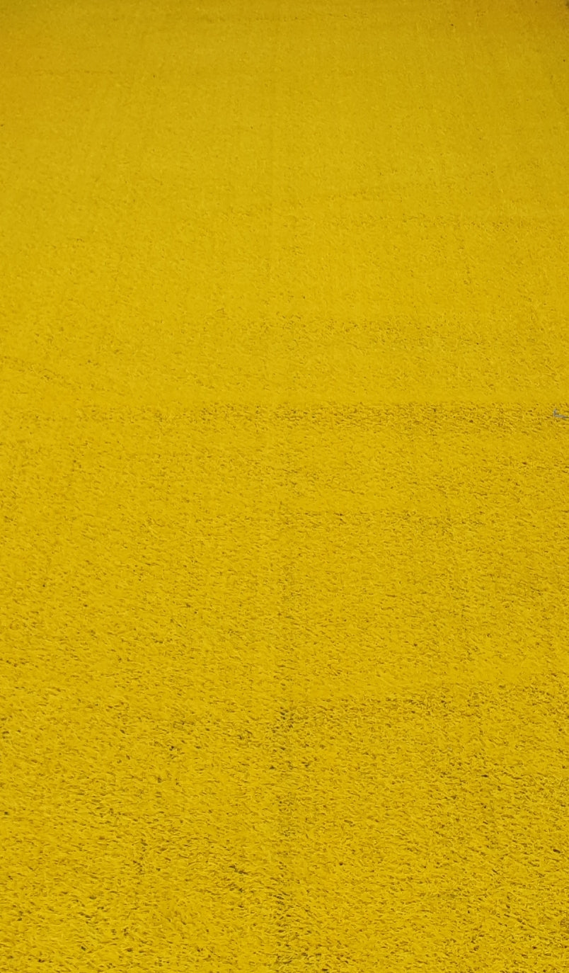 Yellow Entrance Carpet, Northside