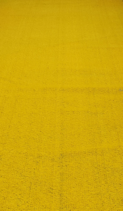 Yellow Entrance Carpet, Northside